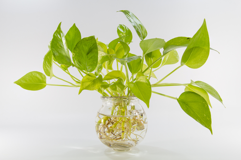 garden design landscape design