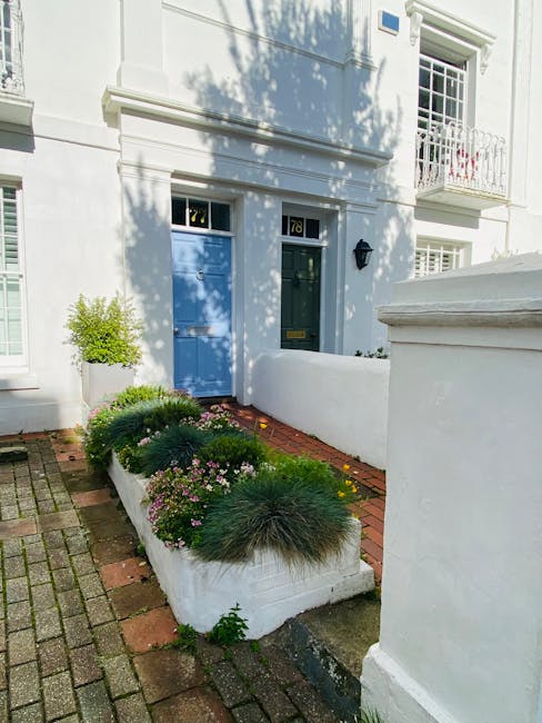 A close-up view of a yellow flowering plant with multiple tall, slender stems topped with clusters of small, bright yellow blossoms. The plant is situated in a garden bed with lush, dark green foliage surrounding it. In the background, a red-brick residential building features white-framed windows and an arched entrance with a yellow door, partially obscured by the plant. The area appears well-maintained, with trimmed hedges and tidy soil, suggesting regular garden maintenance by Gardeners Twickenham. The scene is illuminated by natural daylight, highlighting the vibrant colors and textures of the plants, soil, and brickwork, indicative of a neat and cared-for front garden space linked to the landscaping work described in the 'Local gardeners Twickenham Riverside front garden guide'.